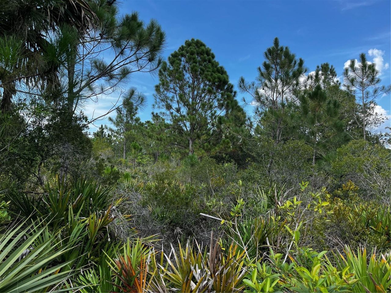 50204 Bermont Road, Punta Gorda, FL 33982 Photo