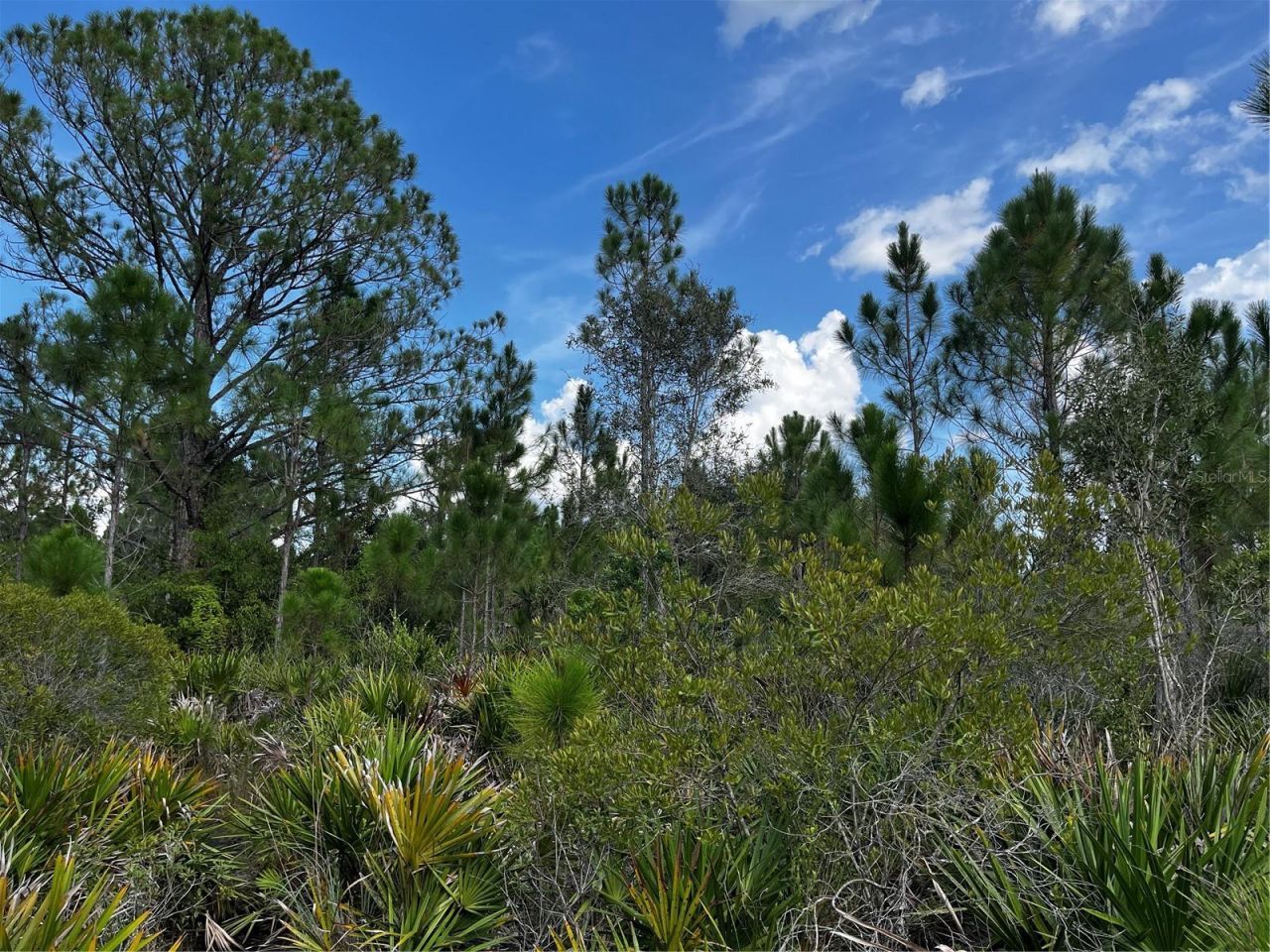 50204 Bermont Road, Punta Gorda, FL 33982 Photo