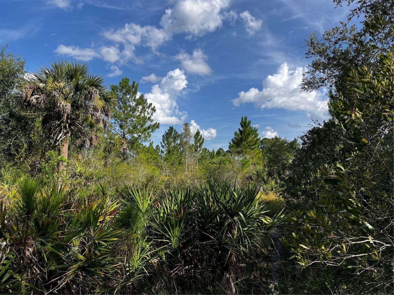 50204 Bermont Road, Punta Gorda, FL 33982 Photo