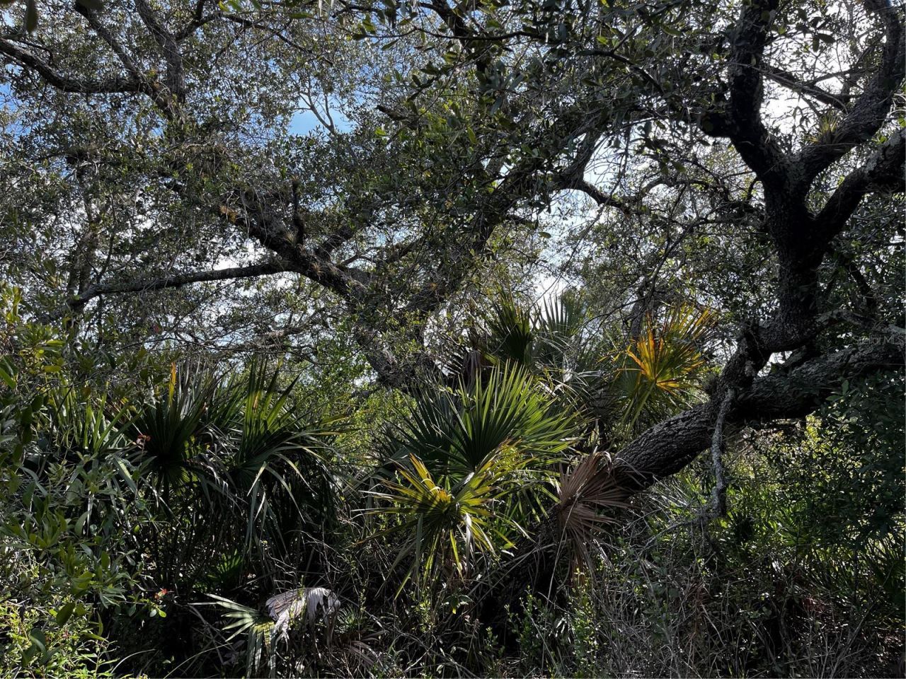 50204 Bermont Road, Punta Gorda, FL 33982 Photo