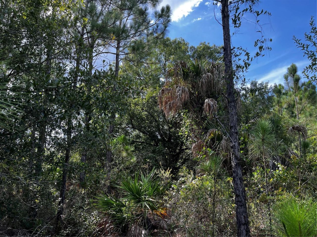 50204 Bermont Road, Punta Gorda, FL 33982 Photo