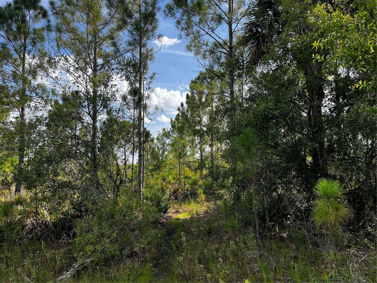 50204 Bermont Road, Punta Gorda, FL 33982 Photo