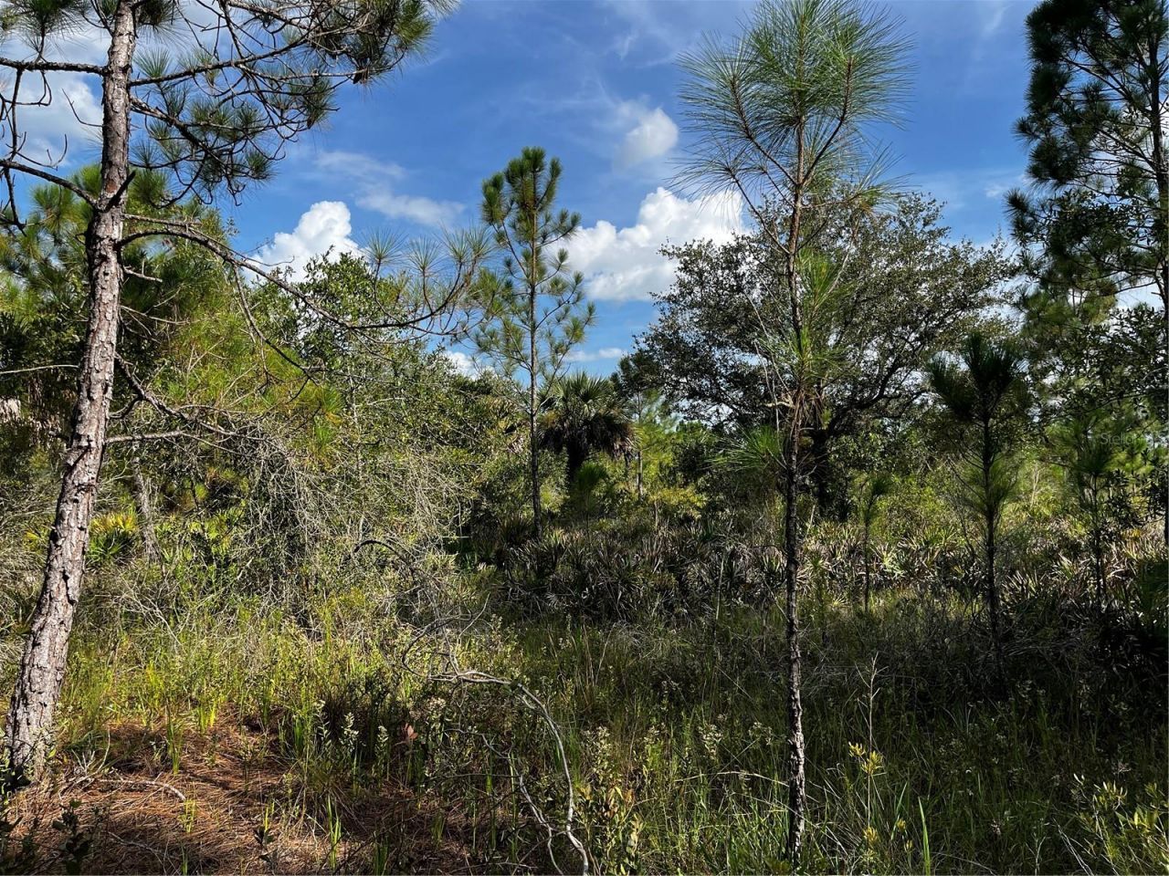 50204 Bermont Road, Punta Gorda, FL 33982 Photo