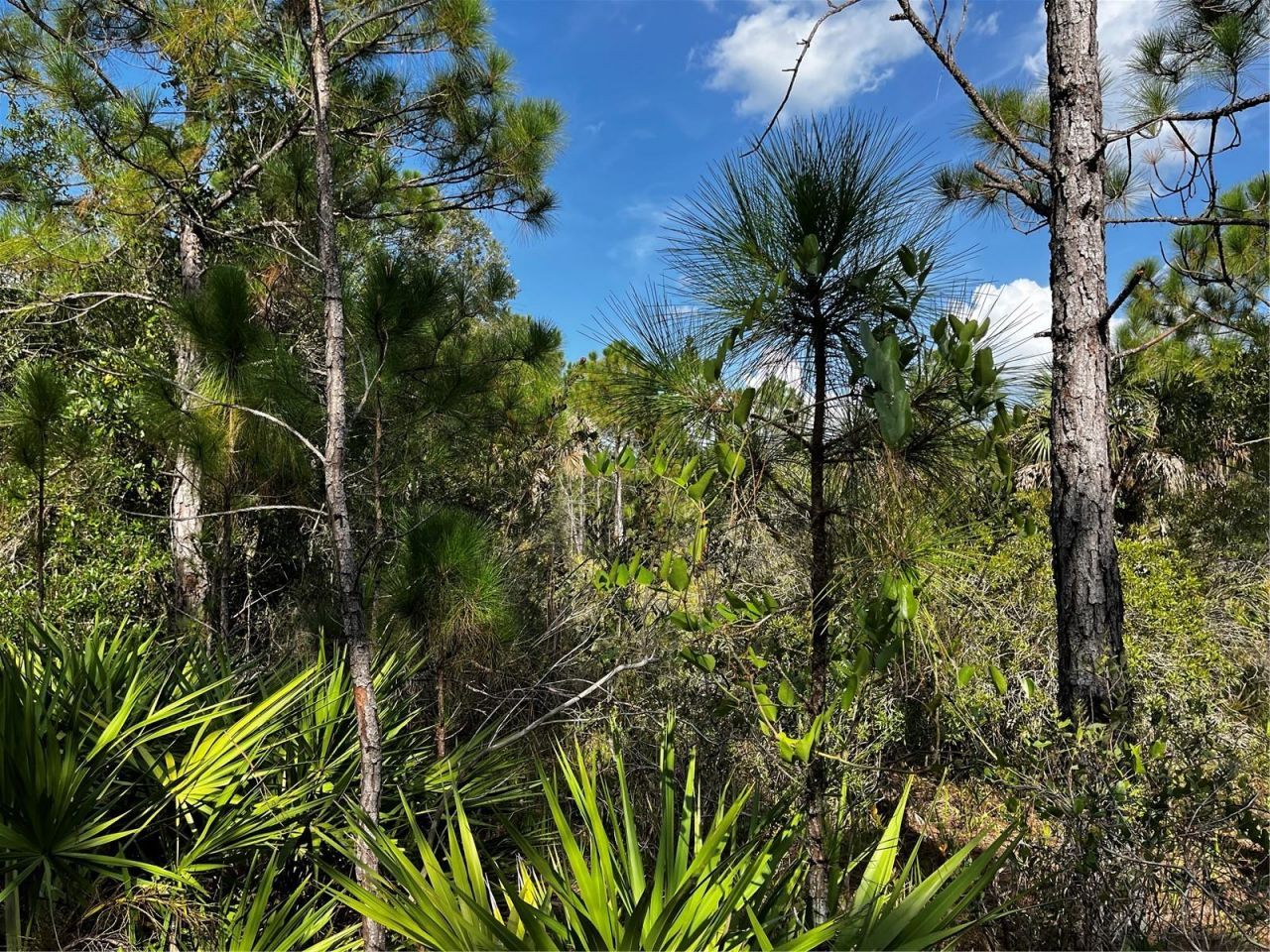 50204 Bermont Road, Punta Gorda, FL 33982 Photo