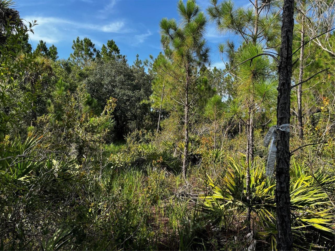 50204 Bermont Road, Punta Gorda, FL 33982 Photo