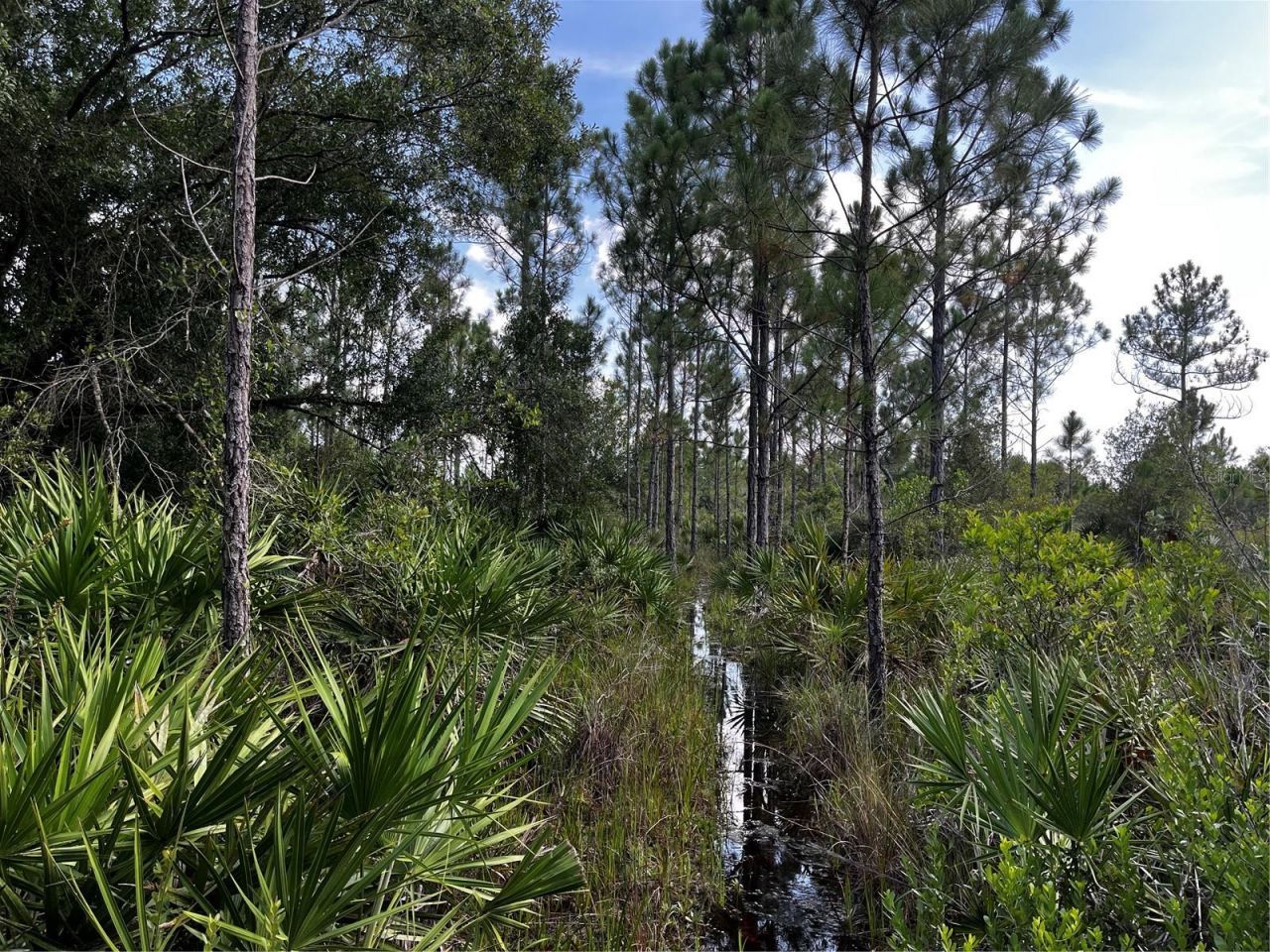 50204 Bermont Road, Punta Gorda, FL 33982 Photo