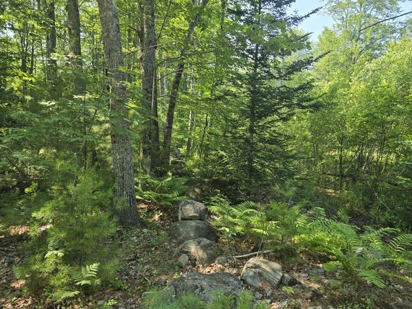 00 Head Tide Hill Road, Alna, ME 04535