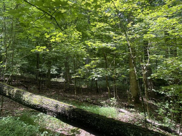 1535 Mount Olivet Rd, Hendersonville, TN 37075