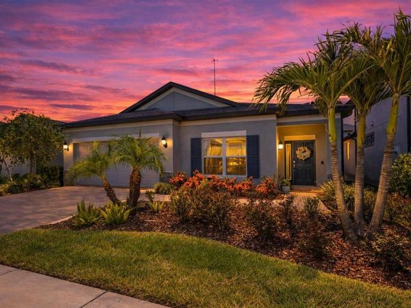 12466 ROSEPINE PLACE, RIVERVIEW, FL 33579