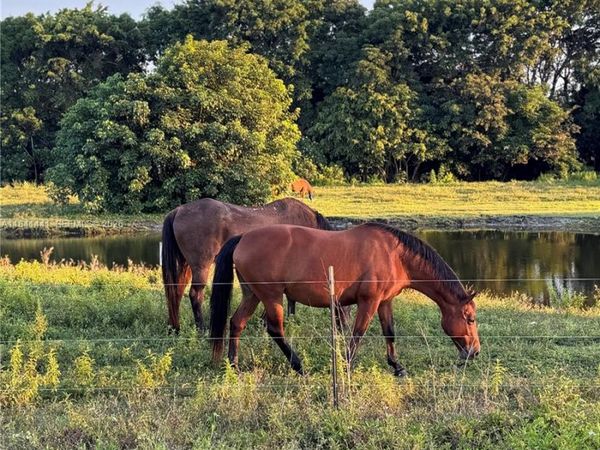 3311 SW 118th Ter, Davie, FL 33330