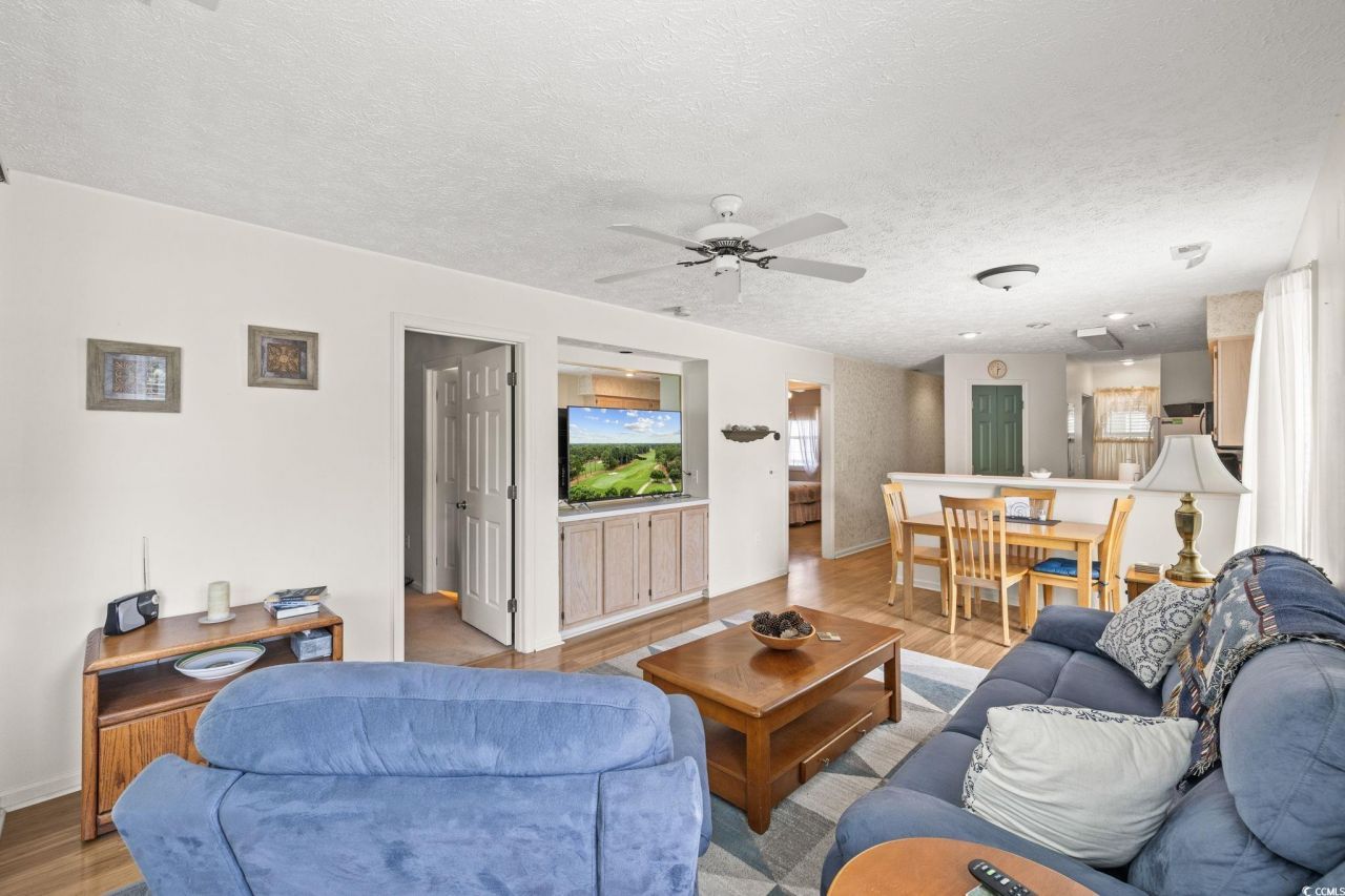 553 White River Dr. Photo 4