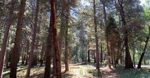 12043 Pasquale Rd, Nevada City, CA 95959 Photo