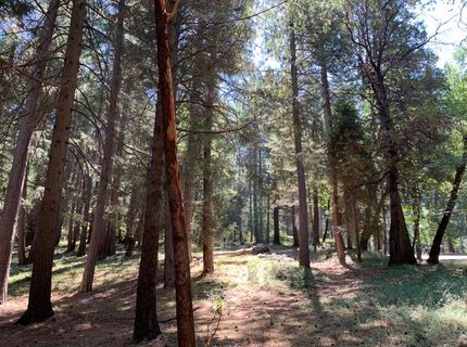 12043 Pasquale Rd, Nevada City, CA 95959 Photo