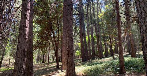 12043 Pasquale Rd, Nevada City, CA 95959 Photo