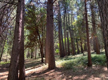 12043 Pasquale Rd, Nevada City, CA 95959 Photo