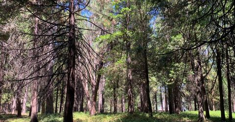 12043 Pasquale Rd, Nevada City, CA 95959 Photo