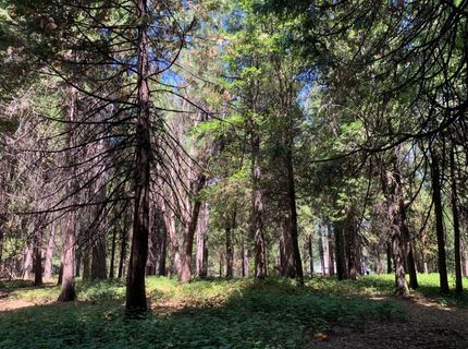 12043 Pasquale Rd, Nevada City, CA 95959 Photo