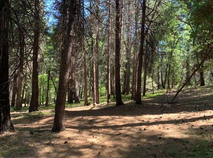 12043 Pasquale Rd, Nevada City, CA 95959 Photo