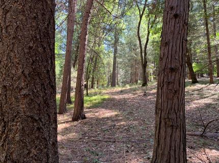 12043 Pasquale Rd, Nevada City, CA 95959 Photo