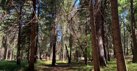 12043 Pasquale Rd, Nevada City, CA 95959 Photo