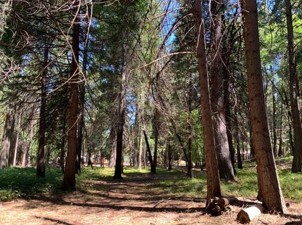 12043 Pasquale Rd, Nevada City, CA 95959 Photo