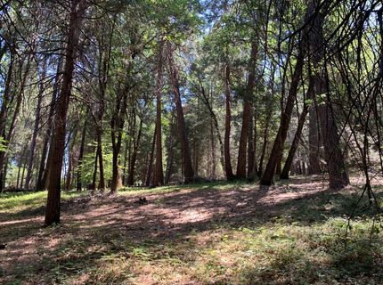 12043 Pasquale Rd, Nevada City, CA 95959 Photo