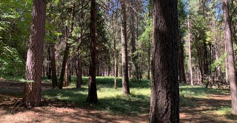 12043 Pasquale Rd, Nevada City, CA 95959 Photo