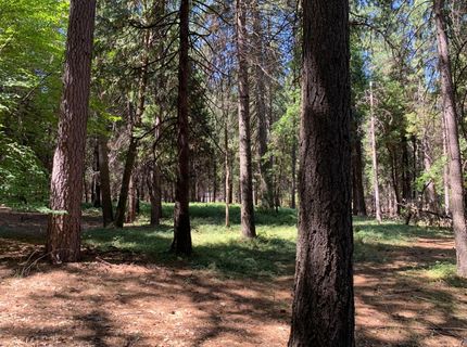 12043 Pasquale Rd, Nevada City, CA 95959 Photo