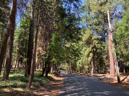 12043 Pasquale Rd, Nevada City, CA 95959 Photo