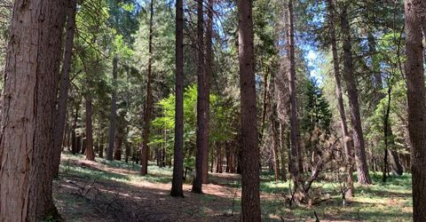 12043 Pasquale Rd, Nevada City, CA 95959 Photo