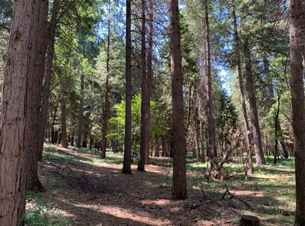 12043 Pasquale Rd, Nevada City, CA 95959 Photo