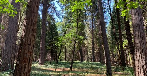 12043 Pasquale Rd, Nevada City, CA 95959 Photo