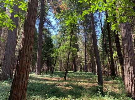 12043 Pasquale Rd, Nevada City, CA 95959 Photo