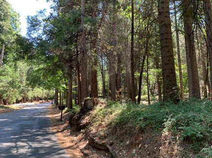 12043 Pasquale Rd, Nevada City, CA 95959 Photo