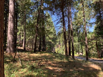 12043 Pasquale Rd, Nevada City, CA 95959 Photo