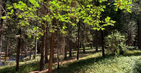 12043 Pasquale Rd, Nevada City, CA 95959 Photo