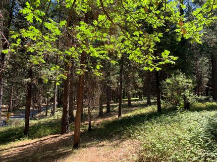 12043 Pasquale Rd, Nevada City, CA 95959 Photo