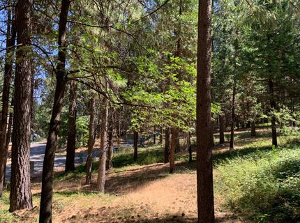 12043 Pasquale Rd, Nevada City, CA 95959 Photo