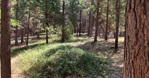 12043 Pasquale Rd, Nevada City, CA 95959 Photo