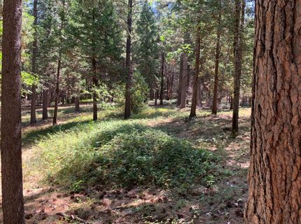 12043 Pasquale Rd, Nevada City, CA 95959 Photo