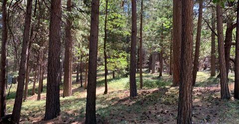 12043 Pasquale Rd, Nevada City, CA 95959 Photo