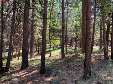 12043 Pasquale Rd, Nevada City, CA 95959 Photo