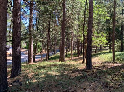 12043 Pasquale Rd, Nevada City, CA 95959 Photo