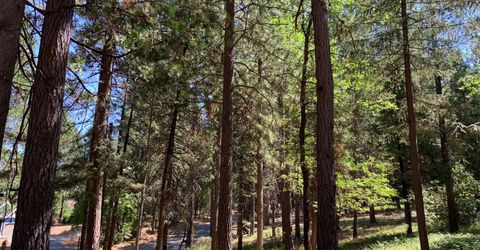 12043 Pasquale Rd, Nevada City, CA 95959 Photo