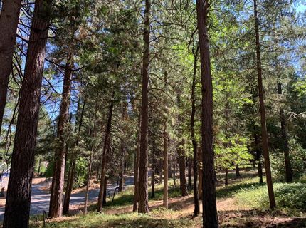 12043 Pasquale Rd, Nevada City, CA 95959 Photo