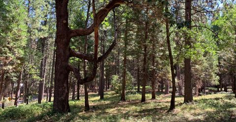 12043 Pasquale Rd, Nevada City, CA 95959 Photo