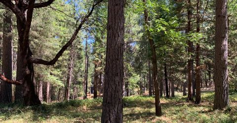 12043 Pasquale Rd, Nevada City, CA 95959 Photo