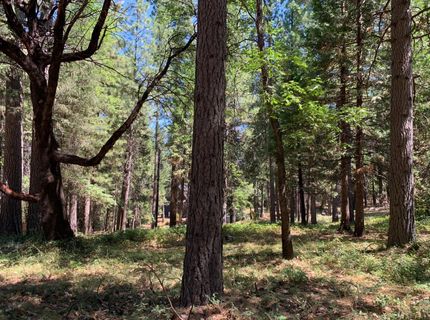 12043 Pasquale Rd, Nevada City, CA 95959 Photo