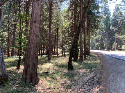 12043 Pasquale Rd, Nevada City, CA 95959 Photo