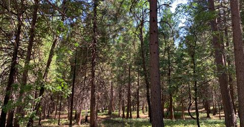 12043 Pasquale Rd, Nevada City, CA 95959 Photo